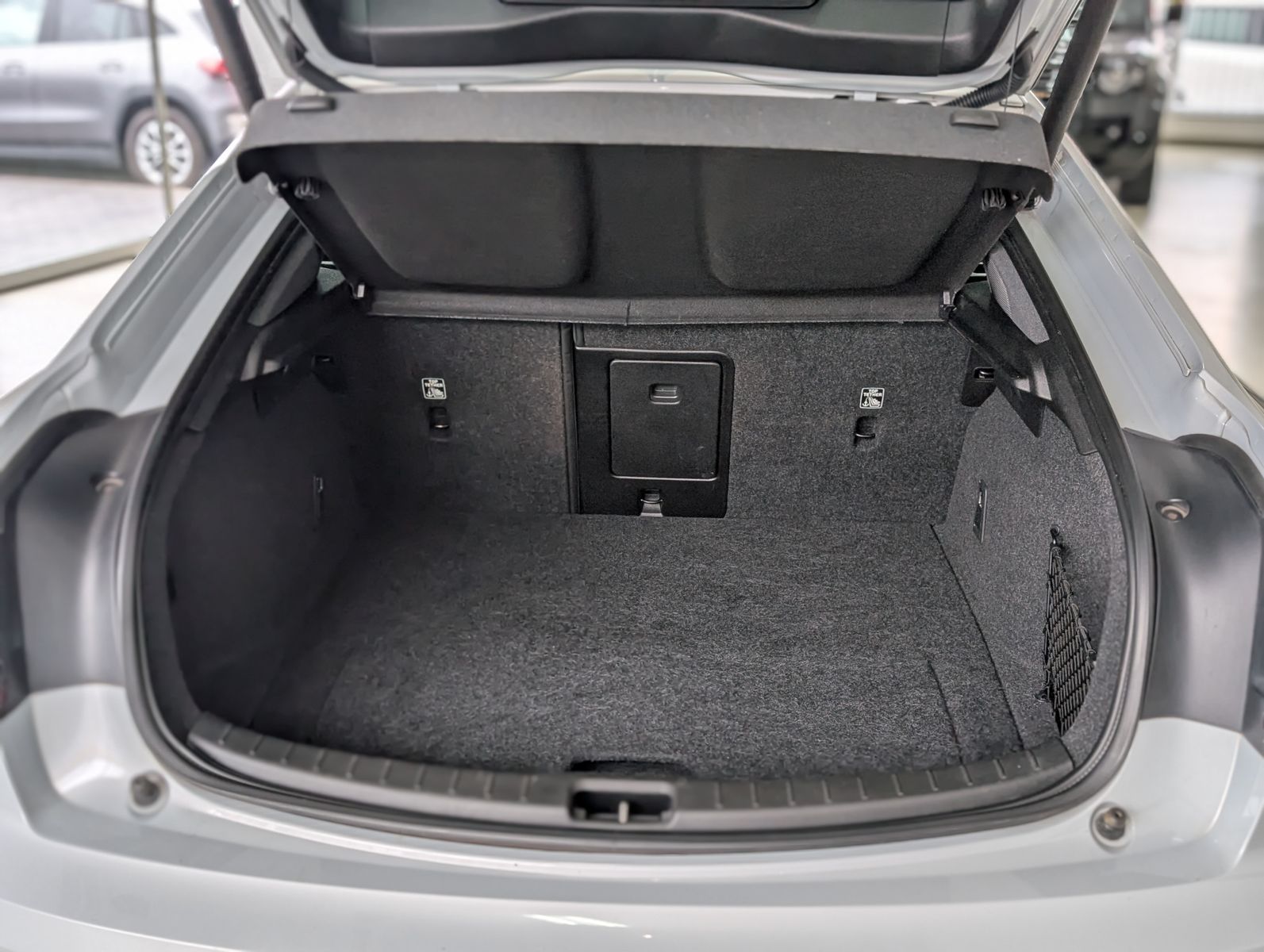 Fahrzeugabbildung Polestar 2 Range PILOT LITE PANO ACC LED H&K 360°