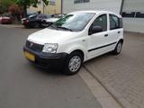 Fiat Panda - Fiat Panda in Ludwigshafen