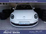 Volkswagen Beetle Cabrio Allstar Nav/Xen/PTS+RFK/33tkm/1.Hd - Volkswagen Beetle ALLSTAR mit Benzin-Antrieb