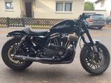 Harley-Davidson Sportster XL1200CX roadster - HARLEY-DAVIDSON SPORTSTER 1200 ROADSTER