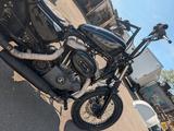 Harley-Davidson Sportster 1200 / forty - Eight  - HARLEY-DAVIDSON 2008 SPORTSTER 1200