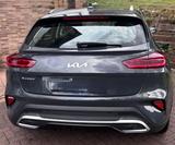 Kia XCeed 1.6 CRDi 48V DCT Vision Vision - Kia XCeed von privat