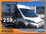 Fiat Ducato Kastenwagen 35 180 M L4H2 DAB Kamera - Fiat Ducato: Kastenwagen