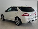 Mercedes-Benz ML 350 CDI BlueTec 4Matic AMG-Line|AHK|STANDHZ| - weiße Mercedes-Benz ML-Klasse
