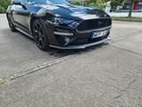Ford Mustang EcoBoost Premium mit Stage-1-Tuning - Ford Mustang: For