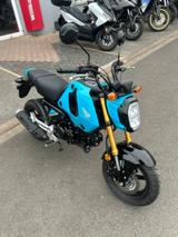 Honda MSX125 GROM MSX125A (wie Dax od.Monkey) - DAX