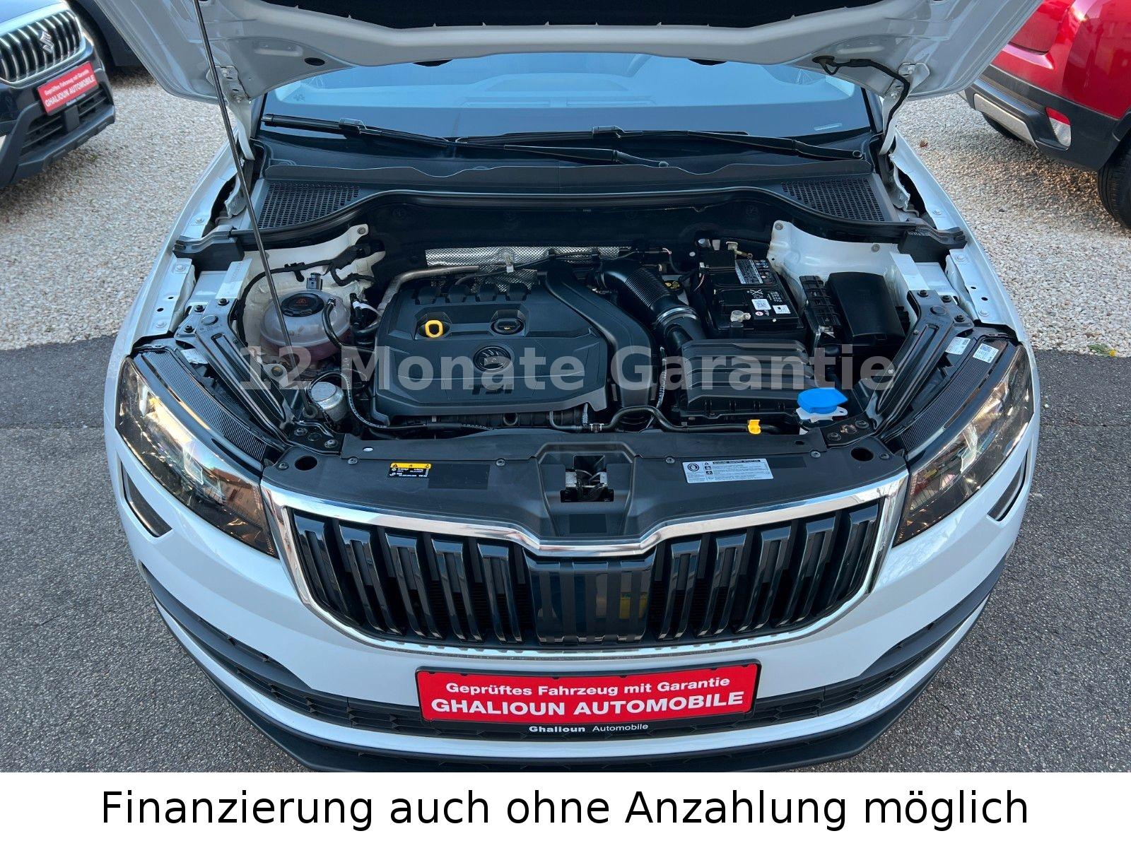 Skoda Karoq 1.5 Style Automatik Navi Rückfahrkamera