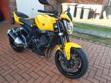 Yamaha FZ1 RN16 - YAMAHA 2006 FZ1