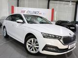 Skoda Octavia Combi 2.0 TDI FIRST-EDITION WHITE / LED - Skoda Octavia: Allradantrieb, Combi