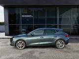 Seat Leon Road Edition 1.5 eTSI 150 PS 7-Gang-DSG Kes - Seat Leon aus 2025