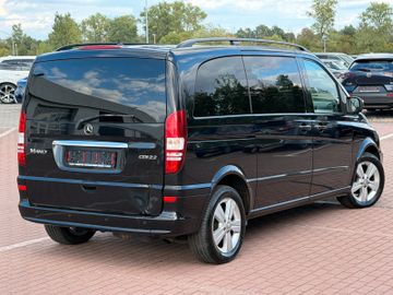 Mercedes Viano - 6