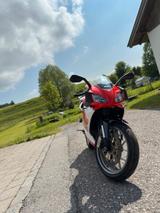 Aprilia RS 125 RM - APRILIA RS 125
