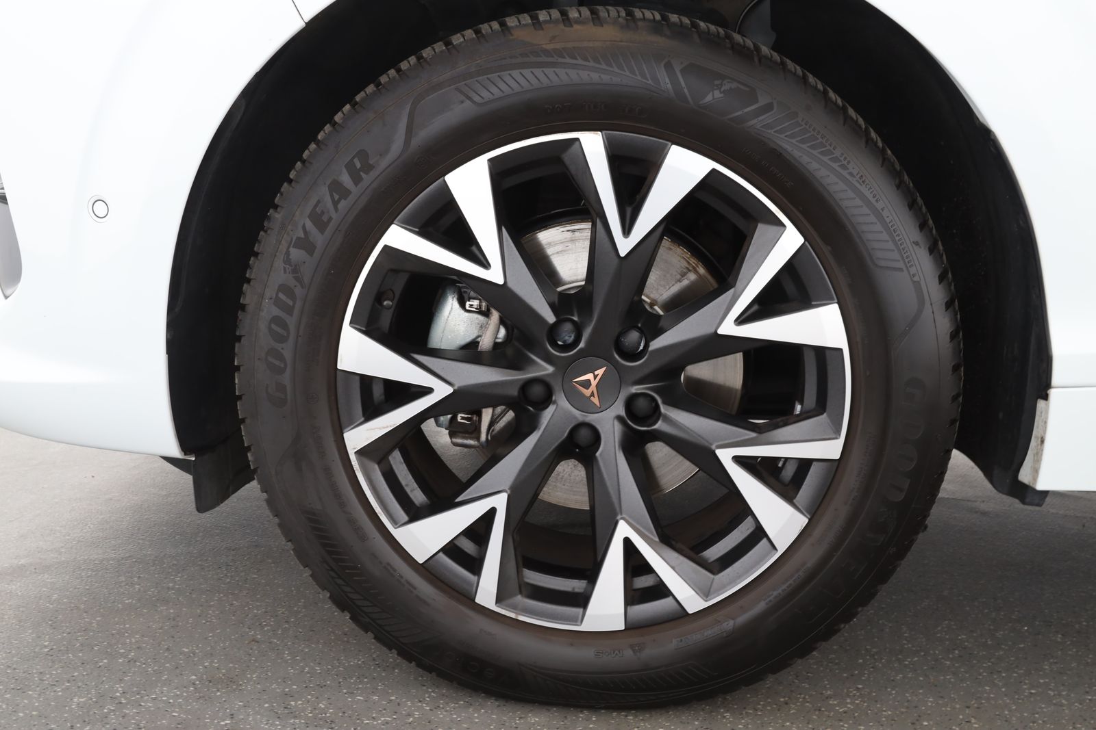 Cupra Terramar - Bild 10