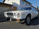 Jaguar sehr schöner XJ12 - Jaguar XJ12 von privat