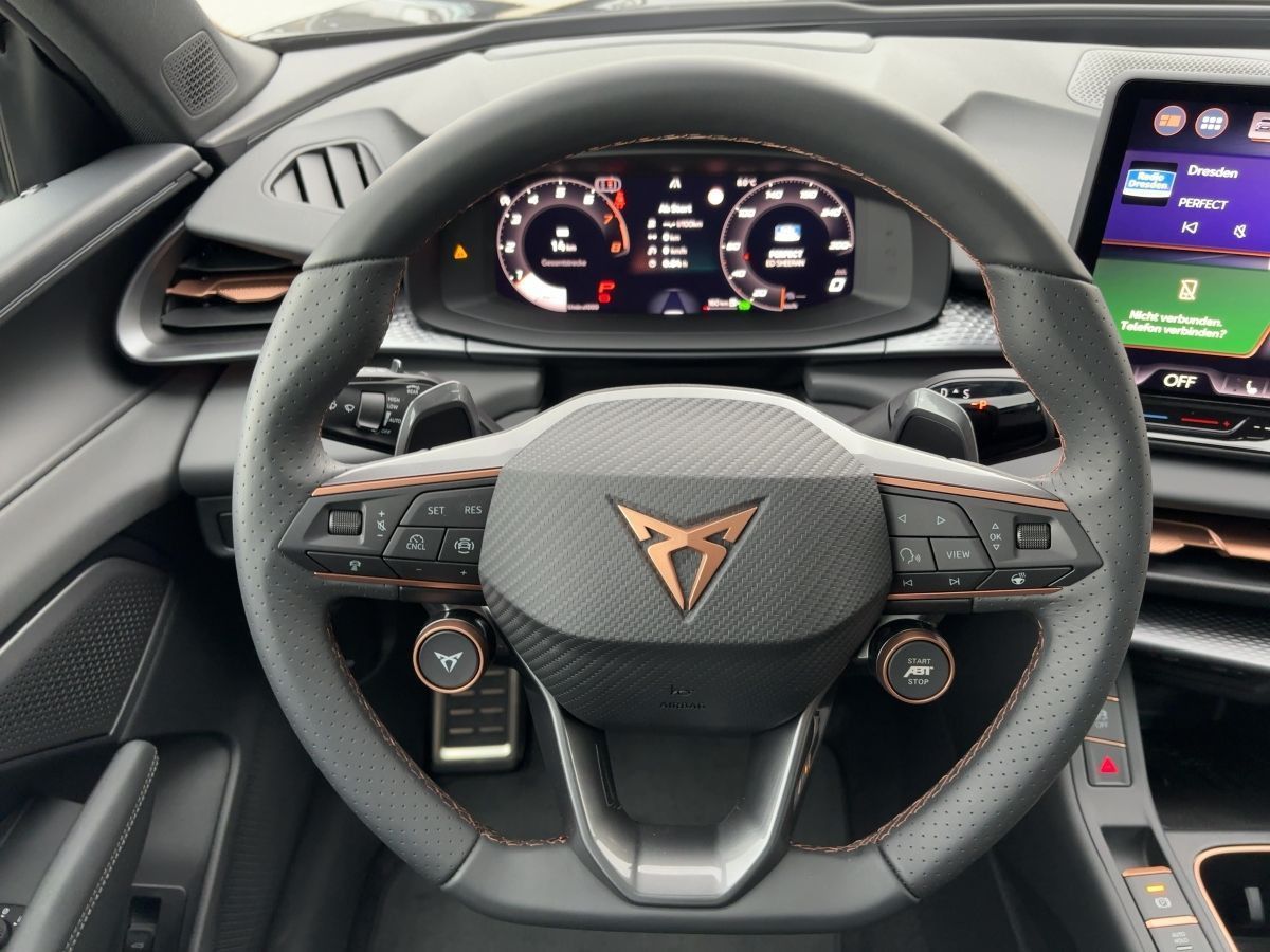 Cupra Terramar - Bild 10