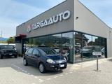 Fiat Punto Evo 5 Porte Punto Evo 5p 1.2 Blue&Me  - Fiat: Blue Me