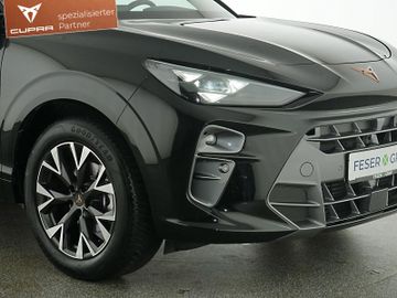Cupra Terramar - 11