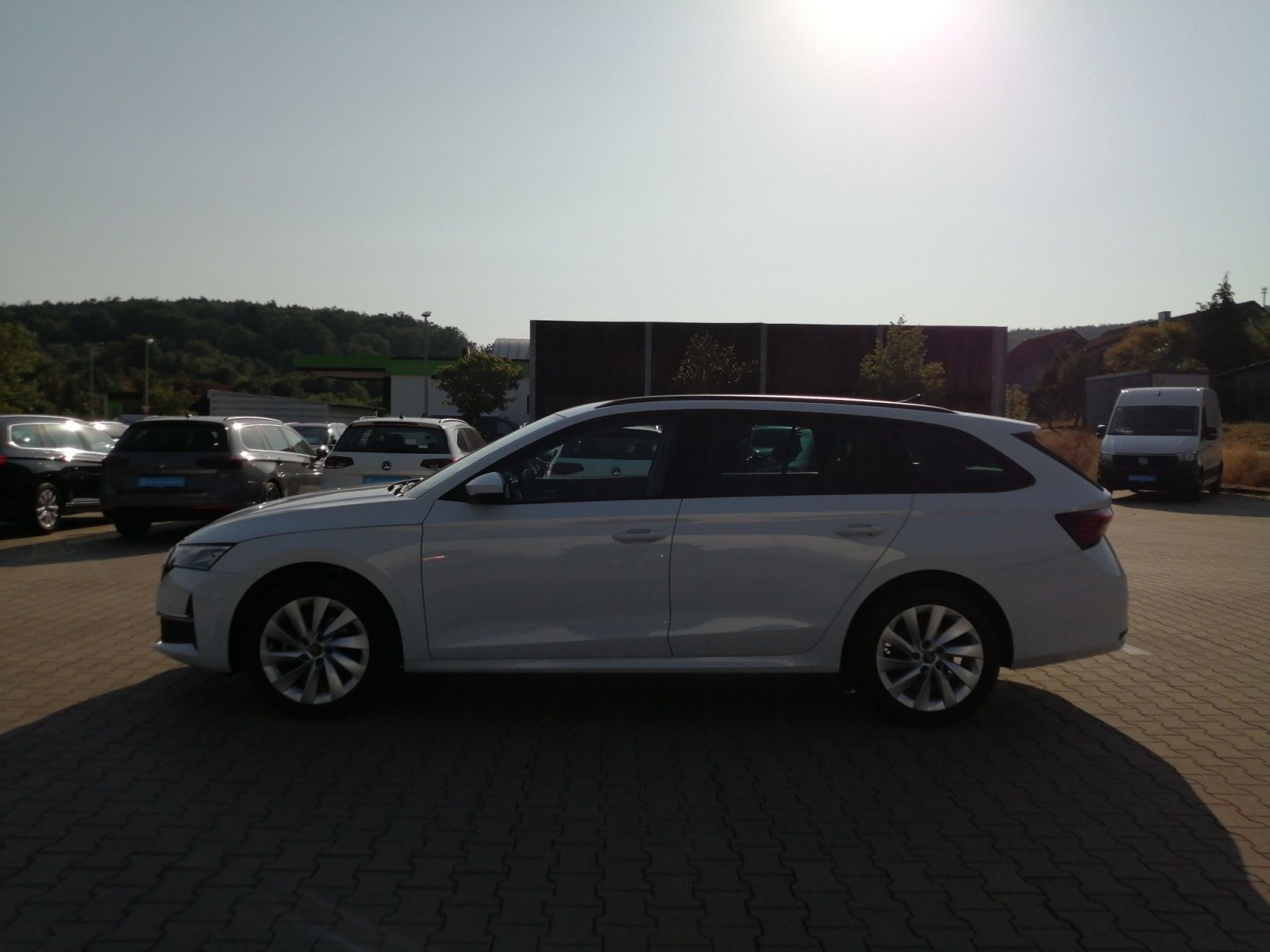 Skoda Octavia - Bild 8