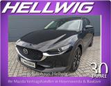 Mazda CX-30 2.0l Skyactiv-X Homura Navi Head-up ACC - gebrauchte Mazda CX-30 aus dem Jahr 2024
