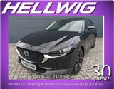 Mazda CX-30 2.0l Skyactiv-X Homura Navi Head-up ACC - Mazda CX-30 aus 2024