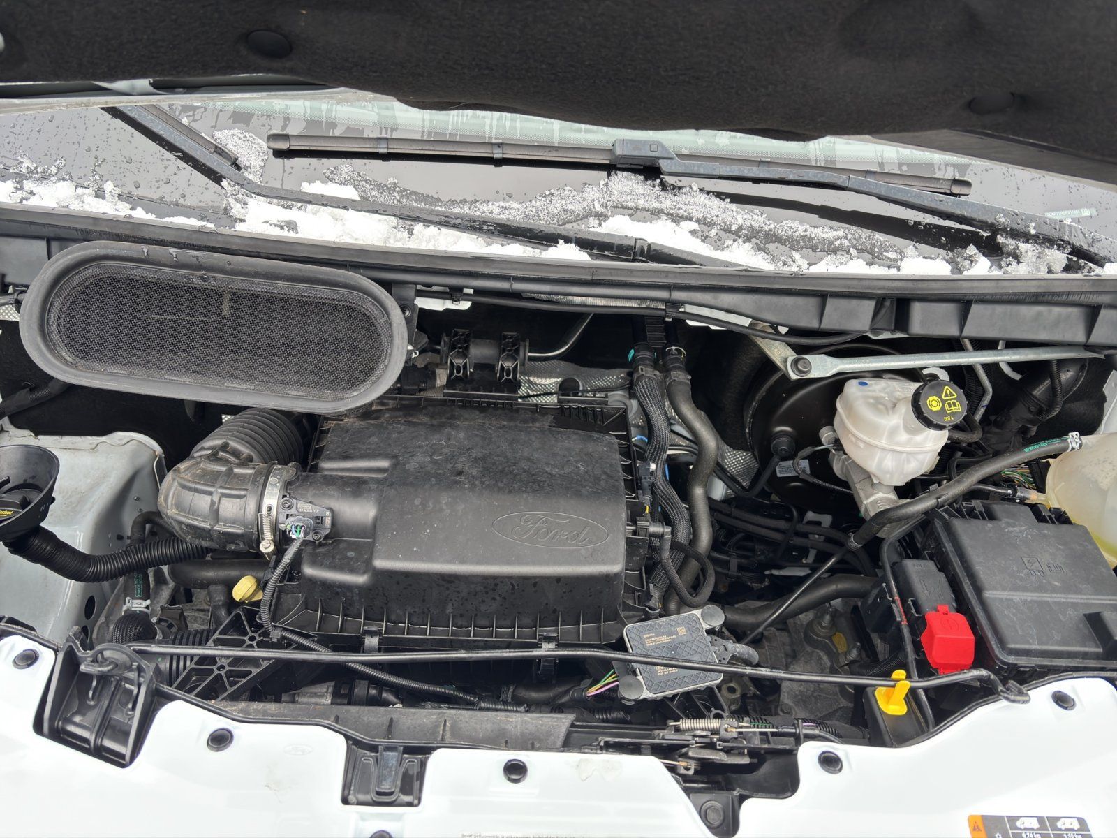 Fahrzeugabbildung Ford Transit 350 L3 Limited