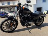 Harley-Davidson Sportster 883 R - Angebote