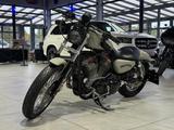 Harley-Davidson Sportster XL 883L 5HD - HARLEY-DAVIDSON 2006 883 SPORTSTER