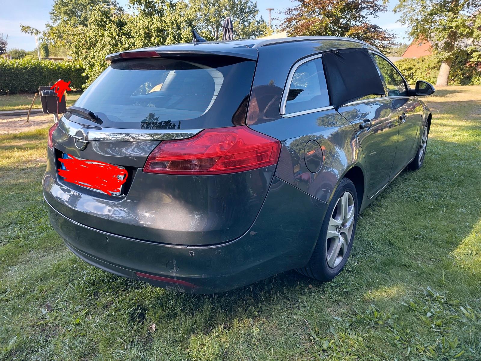 Opel Insignia 2010 — вигляд ззаду