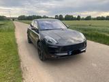 Porsche Macan GTS Burmester Siluft Pano Doppelvergl. AGA - Porsche: Burmester