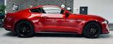 Ford Mustang GT Fastback MagneRide|1.HD|BANG&OLUFSEN - Ford Mustang: Fastback