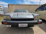 Jaguar XJS 12 Cyl. Convertible. Calif. original - Jaguar Oldtimer: Cabrio