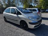 Citroën Xsara Picasso 1.6 16V Style - Citroën Xsara Picasso: Van