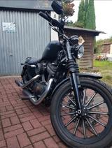 Harley-Davidson XL883N Iron 883 Sporster - Offers