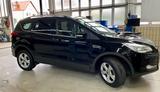 Ford Kuga 1,5L EcoBoost 4x2 110kW Titanium - Ford Kuga: 2.5