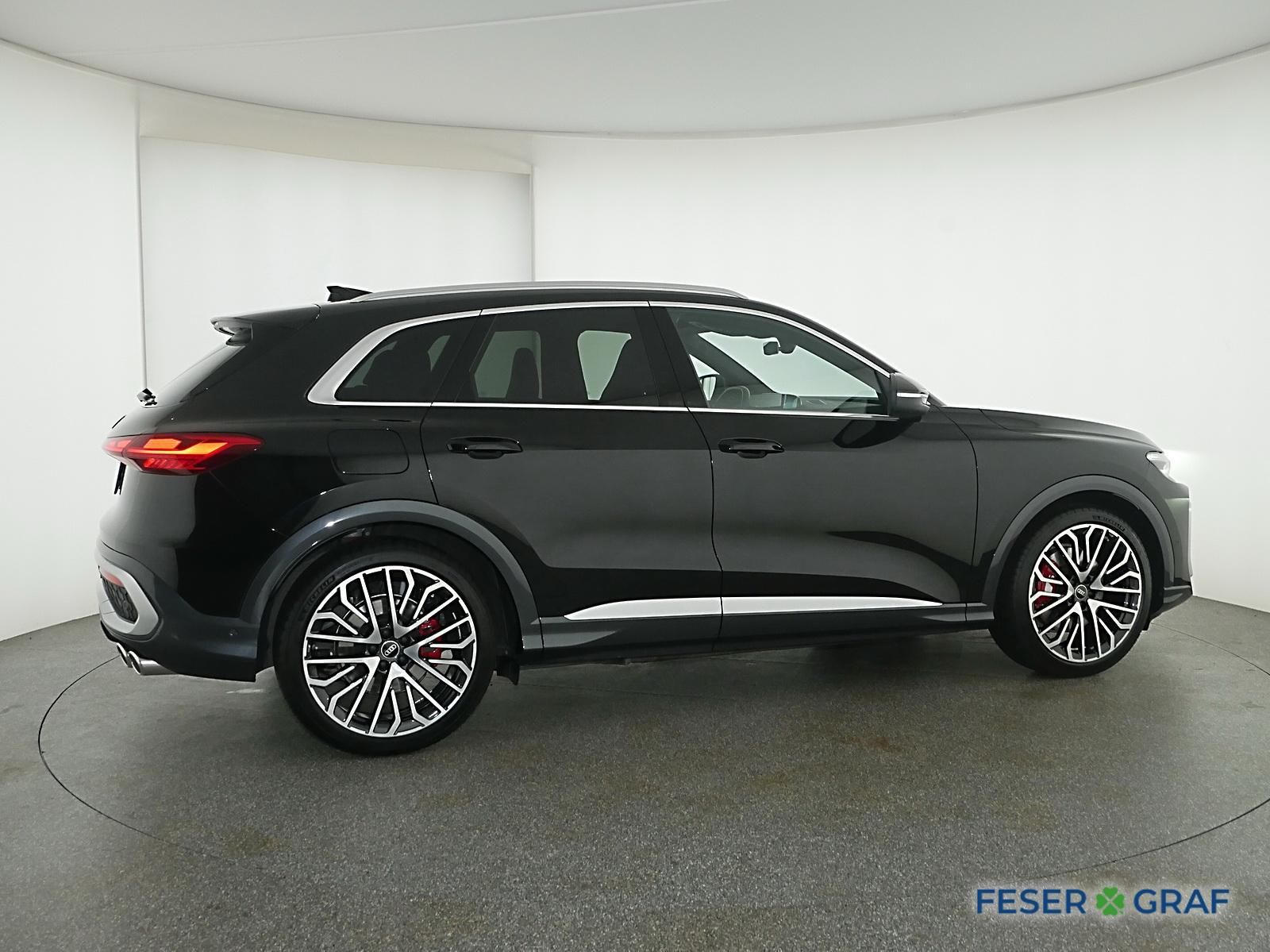 Audi SQ5 - Bild 13