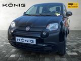 Fiat Panda City Plus Spring 1.0 GSE 69 PS - Fiat Panda in Erfurt