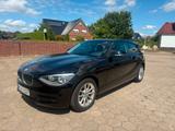 BMW 114  3-trg. 114 i Urban Line PDC Felgen Allwette - : Schwarz, Felge