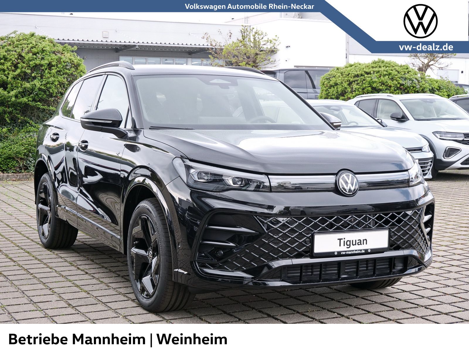 Volkswagen Tiguan - Bild 3