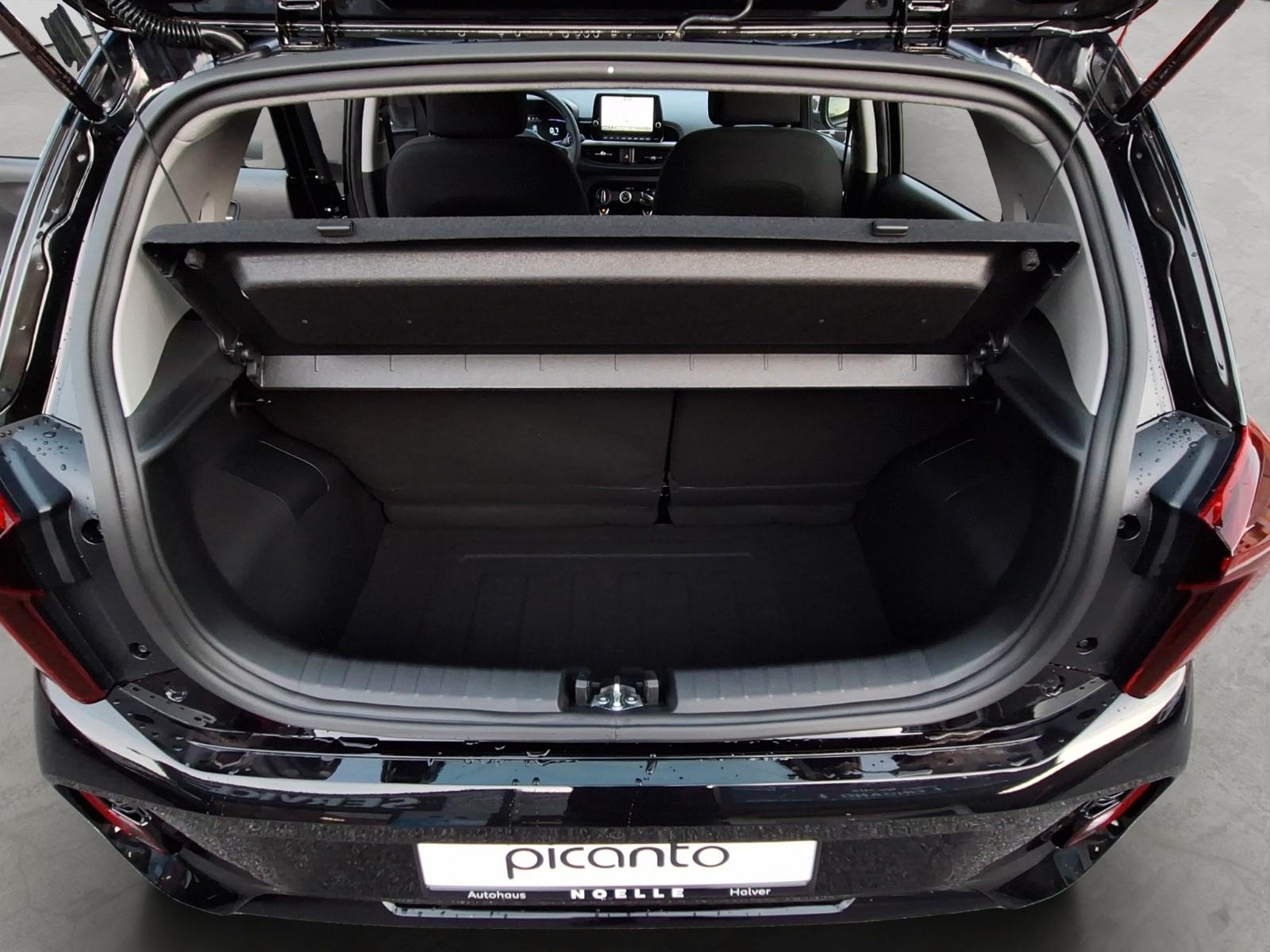 Kia Picanto 1.0 Vision Automatik, Navi, Kamera, SHZ