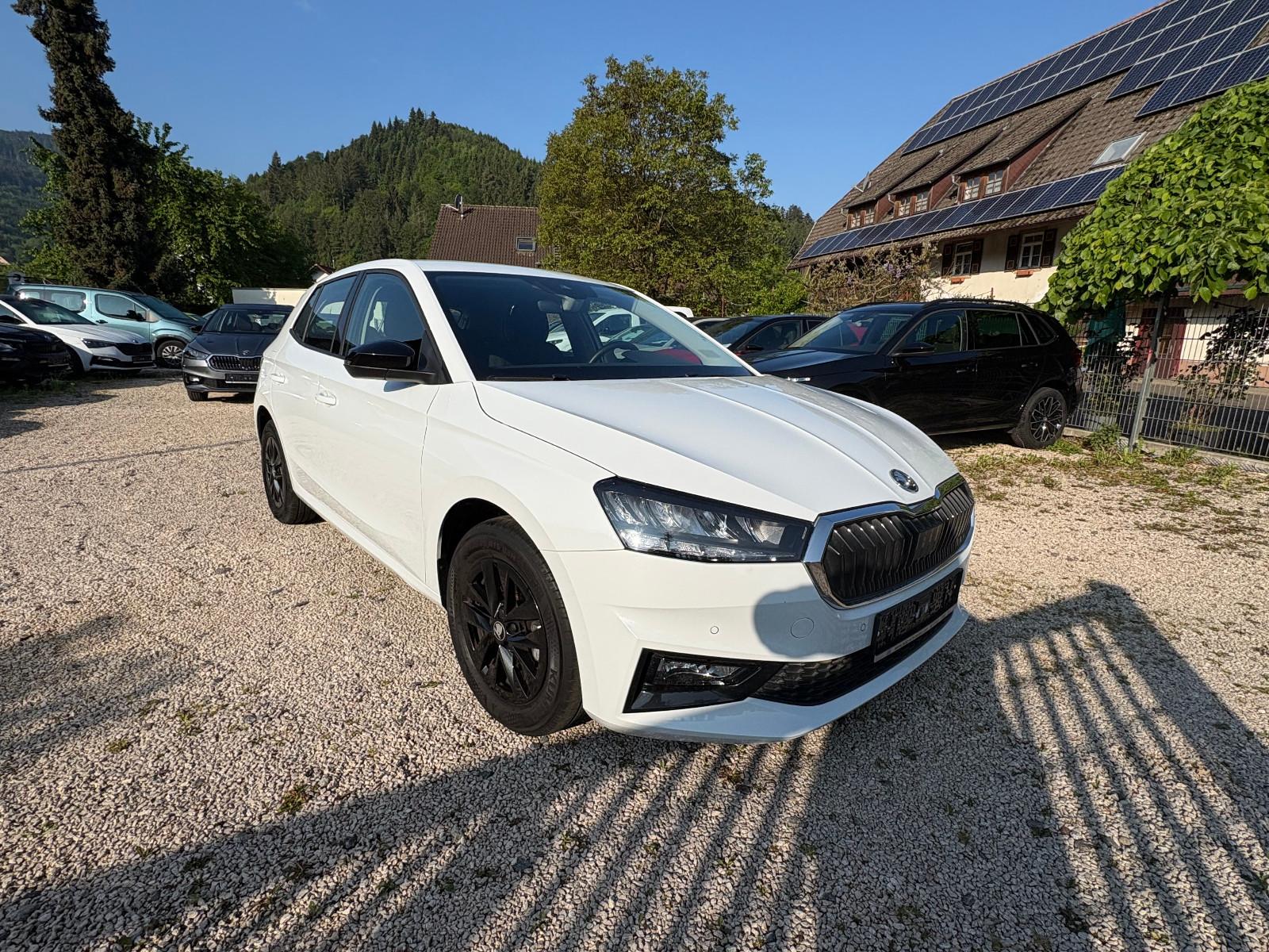 Skoda Fabia Select. Kamera,SHZ,ALU,DAB,APP,EL.SP.