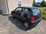 Volkswagen Lupo 1.4 16V COMFORTLINE Comfortline - Volkswagen Lupo Comfortline mit Benzin-Antrieb