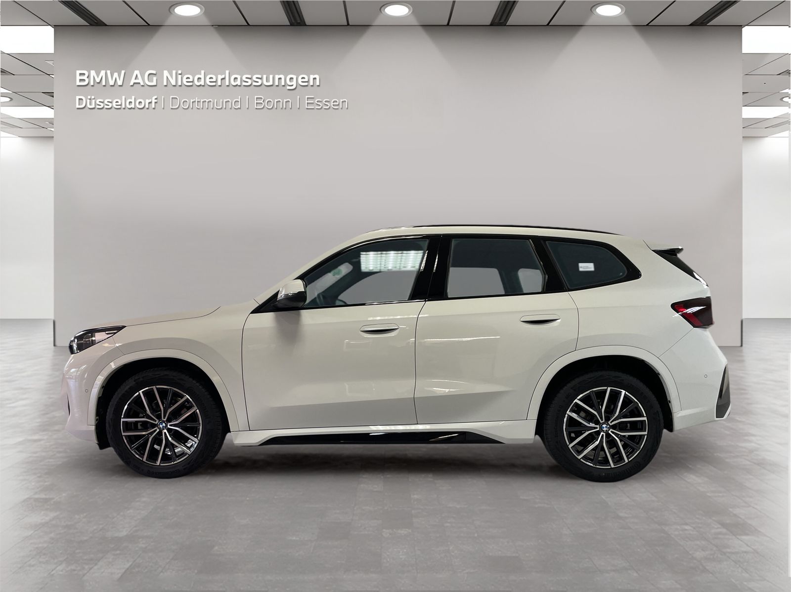 BMW X1 sDrive20d M Sport Driv.Assist Harman K LED foto 5