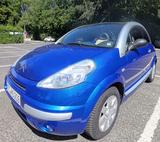 Citroën C3 Pluriel 1.6 Automatik | Nur 11.000 km - Citroën C3 in Wiesbaden