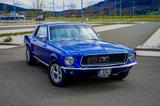 Ford Mustang V8-302 H-Zulassung-Servo-Scheibenbremsen - Ford: 302