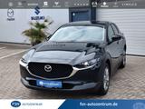 Mazda CX-30 Exclusive-line, Bose-Sound, 360°, Matrix-L - Mazda CX-30 Exclusive-Line mit Hybrid-Antrieb (Benzin/Elektro)