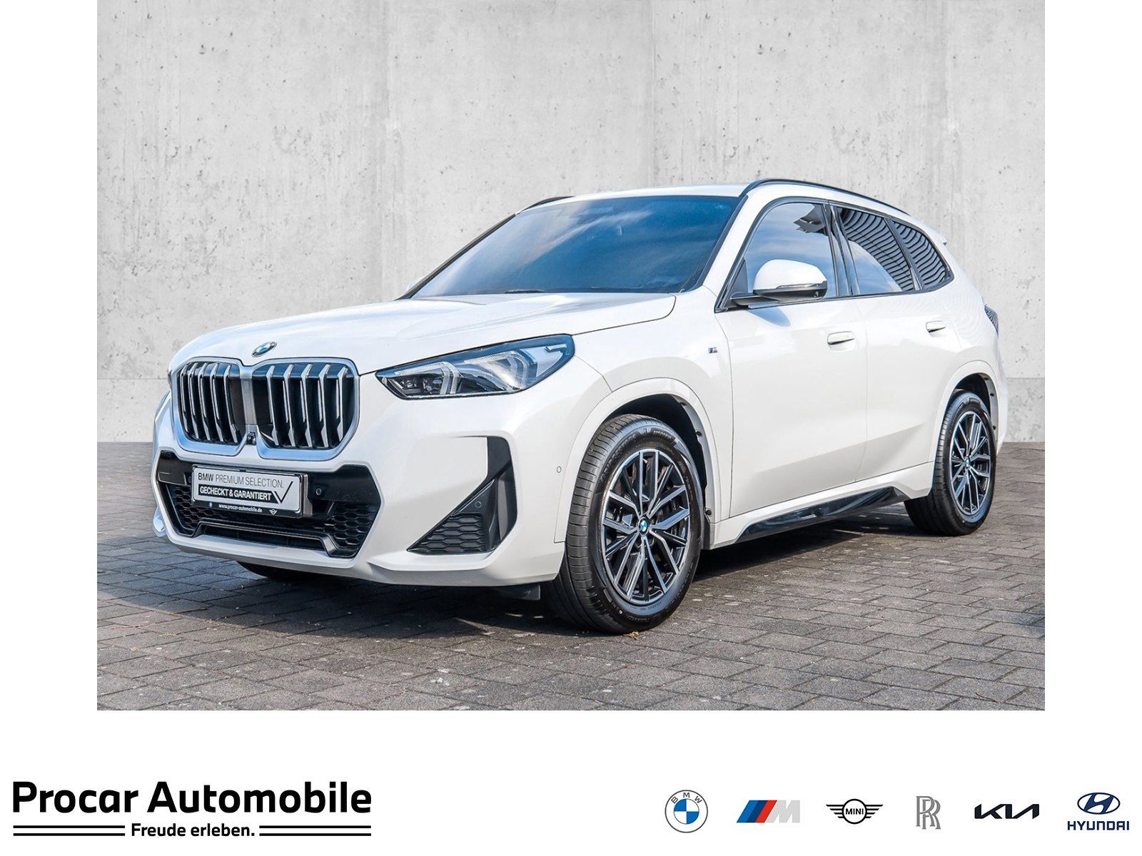 BMW X1 sDrive18i M Sport HUD ACC RFK NAVI LED