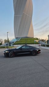 Ford Mustang 5.0 Ti-VCT V8 GT GT - Ford Mustang Gebrauchtwagen in Stuttgart