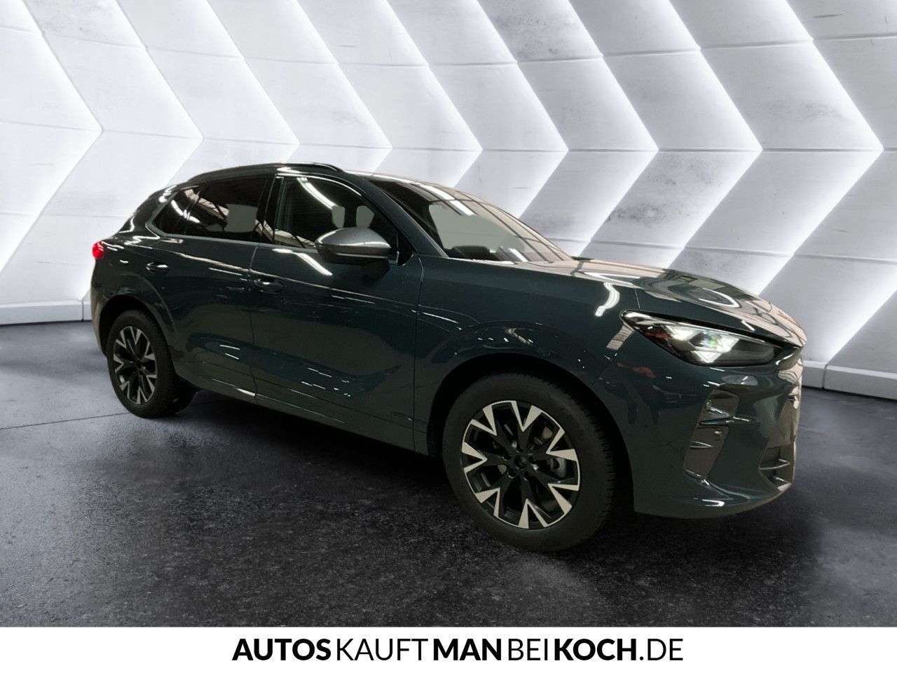 Cupra Terramar - Bild 8
