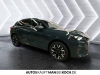 Cupra Terramar - Vorschau Bild 8