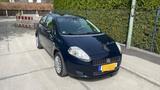 Fiat Punto 1.2 8V - - Fiat Punto Gebrauchtwagen in München